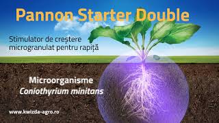 Pannon Starter Double de la Kwizda Agro Romania