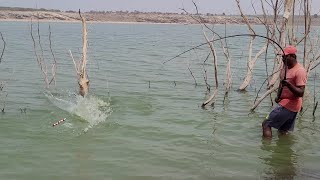 Single Hook 🎣 unique Fishing style Catching BiG Rohu Fishing used Rice Polish Powder