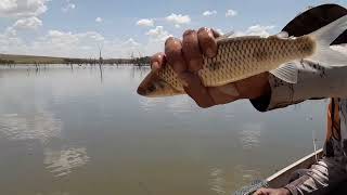 pescando no Goiás viajei de Teresina Piauí para pescar nesse paraíso