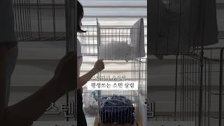 평생쓰는 스텐 살림템, 빨래 바구니 추천 #세탁바구니 #살림템추천 #살림템