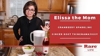 New Year's cranberry sparkling ginger drink | Elissa the Mom