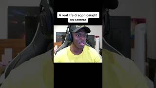 real dragon caught on camera 🐉🐲 #ksi #ksireacts #sideman #funny #reaction #viral #shorts #dragon