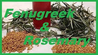 How To Make Fenugreek And Rosemary Hairspray Yourself