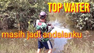 casting toman di danau sematu//top water jadi andalanku