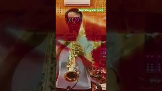 Một Vòng Việt Nam - Sax cover