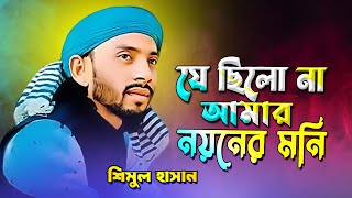 যে ছিল আমার নয়নের মনি ভুলতে পারিনি তারে ভুলিনি | শিমুল হাসান