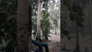 മഴയും വെള്ളപ്പൊക്കവും