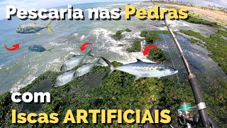 Pescaria nas PEDRAS com ISCAS ARTIFICIAIS - ROCK FISHING (Compilado de Muitas Ações)