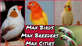 Birds Business In Pakistan | Birds Price Update Ep 1 | Khan Birds Collection