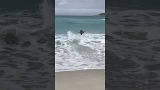 Skimboarder Sends a Flip! #short #skimboarding