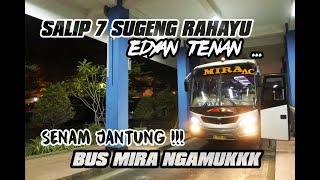 GANAS !!! MIRA NGAMUK SALIP 7 SUGENG RAHAYU Sampai Kena TILANG ...