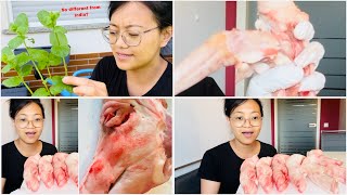 Pig Parts Prices in Germany + How I Store Them & Gardening Coriander | Naga Girl's Tips