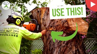 3 Tips Any Arborist Should Know - Shanes Trees