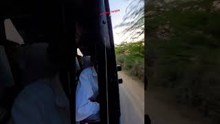 नागौर से जयपुर राजस्थान #viral #shortvideo #youtubeshorts #rajasthan