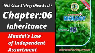 Mendel's law of Independent Assortment class 10 | Biology class 10 chapter 6