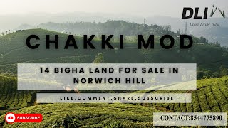 14 BIGHA LAND| FOR SALE NEAR NORWICH HILL | #realestate  #himachal  #kasauli  #property  #house