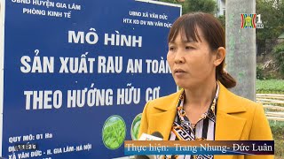 HTX sản xuất, kinh doanh dịch vụ nông nghiệp xã Văn Đức- Đẩy mạnh ứng dụng KHCN- HANOITV