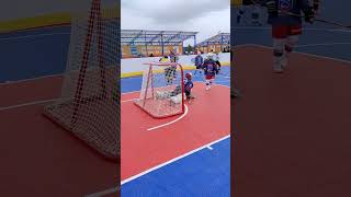 🥅ГОЛ!ГОЛ!ГОЛ!🔥ГОРНЯК В ИГРЕ 💪#болхоккей #hockey #ballhockey