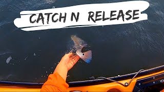 Port Mansfield Kayak Fishing Catch and Release Edition