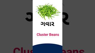 Cluster beans meaning in Gujarati- English dictionary