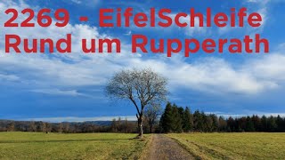 2269 - EifelSchleife Rund um Rupperath | #wandern #hiking #wanderblog #eifel #shorts