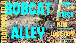 BOBCAT & COYOTE TRAPPING