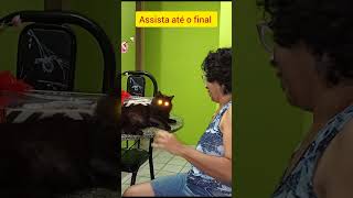 #assista até o #final#shorts