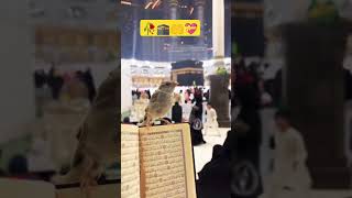 ♥️ makkah ♥️ #beautiful #fouryouyeh #beautiful #viralvideo #trendingshorts