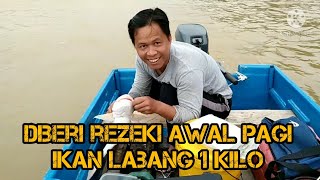 Rezeki di awal pagi ikan labang.1kilo lebih.epi#6.