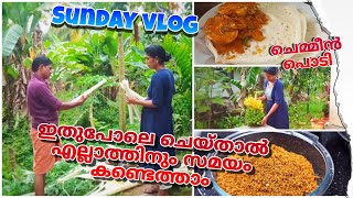 Sunday vlog|ഇതുപോലെ ചെയ്താൽ എല്ലാത്തിനും സമയം തികയും #chemeenpodi@kitchenupdatesbyjisha4606