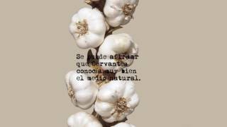 Booktrailer "Una flora literaria en el mundo vegetal de Cervantes"