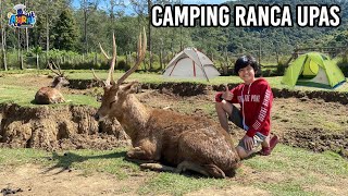 CAMPING SERU DI RANCA UPAS BANDUNG