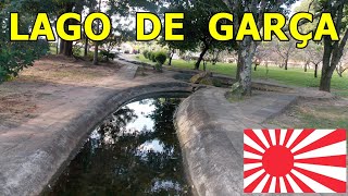 Uma linda tarde no lago de Garça (日本人はこれを見ろ！)