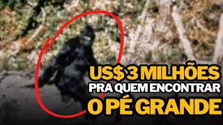 O MISTÉRIO do PÉ GRANDE foi REVELADO?