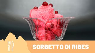 Corso di #Gelato - Gelato sorbetto artigianale e naturale al #Ribes rosso