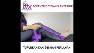 ECCENTRIC TIBIALIS ANTERIOR