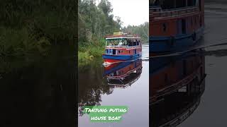 #indonesia_orangutan_tours #tanjungputingnationalpark #orangutankalimantan #houseboattour