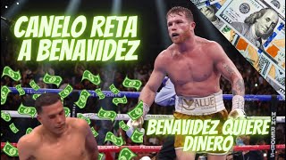 BENAVIDEZ PROVOCA A CANELO PARA PELEAR  | PELEARA SI CANELO OFRECE MILLONES | SALIO POSITIVO C0C4IN4