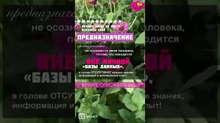 Как найти свое предназначение ❗️см.описание к 📽️ #предназначение #найтипредназначение #осознанность