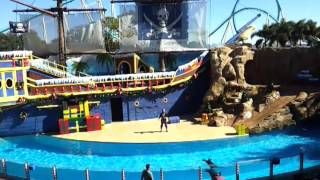 Clyde and Seamore Take Pirate Island Animal Show @ Sea World Orlando