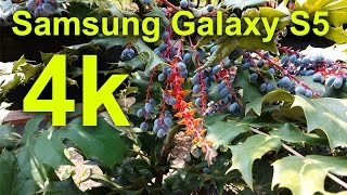 Samsung Galaxy S5 4k UHD 3840x2160