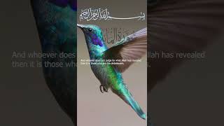 Surah Al-Ma'idah Mishary bin Rashid Alafasy I Ayah 44-45