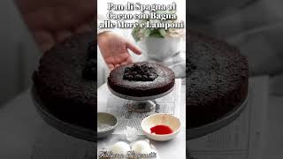 Pan di Spagna al Cacao con Bagna alle More e Lamponi 🫐🍨