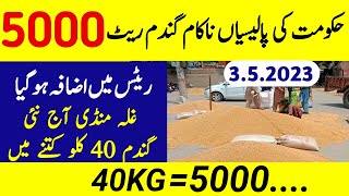 Wheat Price in Pakistan Today 2023 Wheat Rate per 40KG -Gandam rate 2023