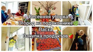 ГЕНЕРАЛЬНАЯ УБОРКА НА БАЛКОНЕ/ САЖАЮ БАЗИЛИК/ ПАСХАЛЬНЫЙ ЗАВТРАК/ НЕБОЛЬШАЯ ЗАКУПКА ПРОДУКТОВ