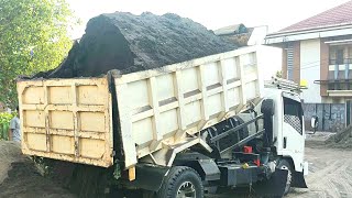 Truk Pasir, Mobil Dump Truk Bongkar Muatan Pasir Full Bak Menggunung Di Lokasi Baru