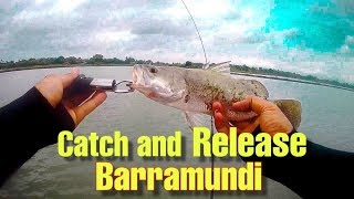 CATCH AND REALESE BARRAMUNDI (ULTRALIGHT FISHING)