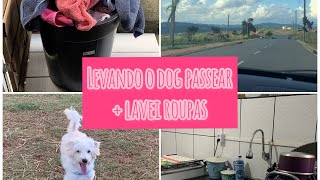 PASSEANDO COM O DOG + LAVEI ROUPAS