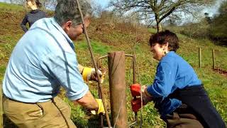 Tree Care Day at The Sharpham Trust 2018