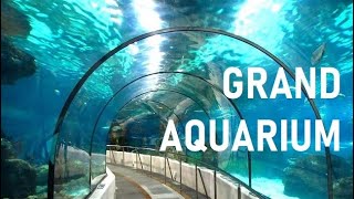 EGYIPTOM Grand Aquarium Hurghada bemutatás